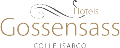 Logo Hotels Gossensass